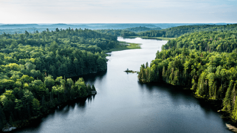 Tighter advertising rules about environmental claims weeks away